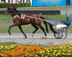 Ugly Duckling 160704-7